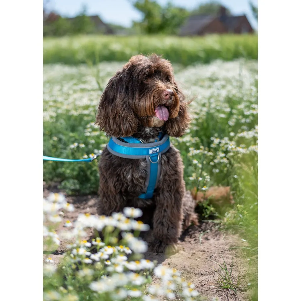 Ancol Viva Padded Harness Black XL 70-98cm