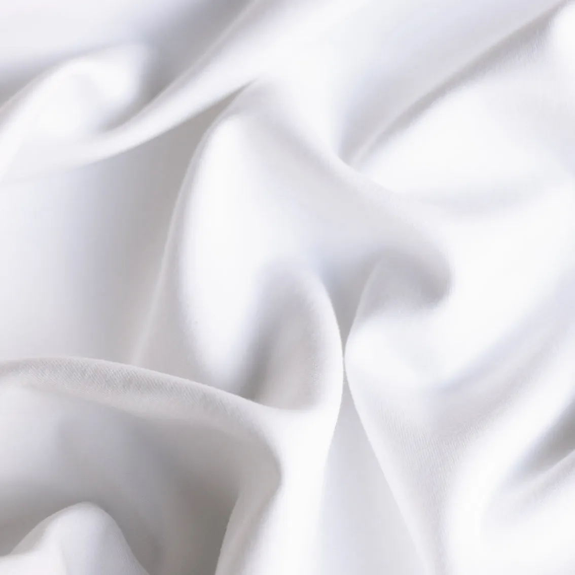 Bianco Ponti Knit