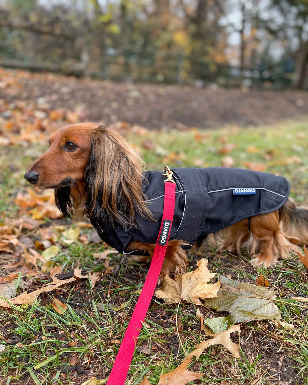 City Slicker All-Weather Dog Jacket & Raincoat - Black