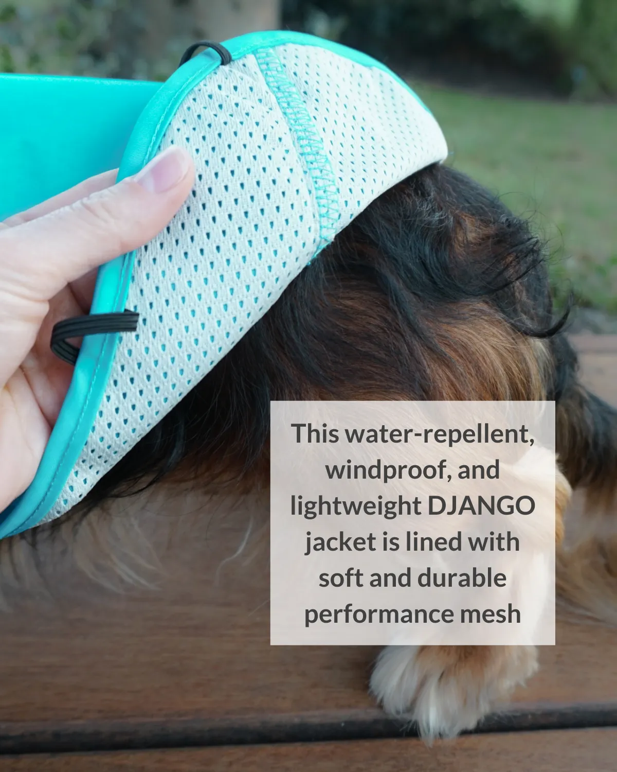 City Slicker All-Weather Dog Jacket & Raincoat - Topaz Blue