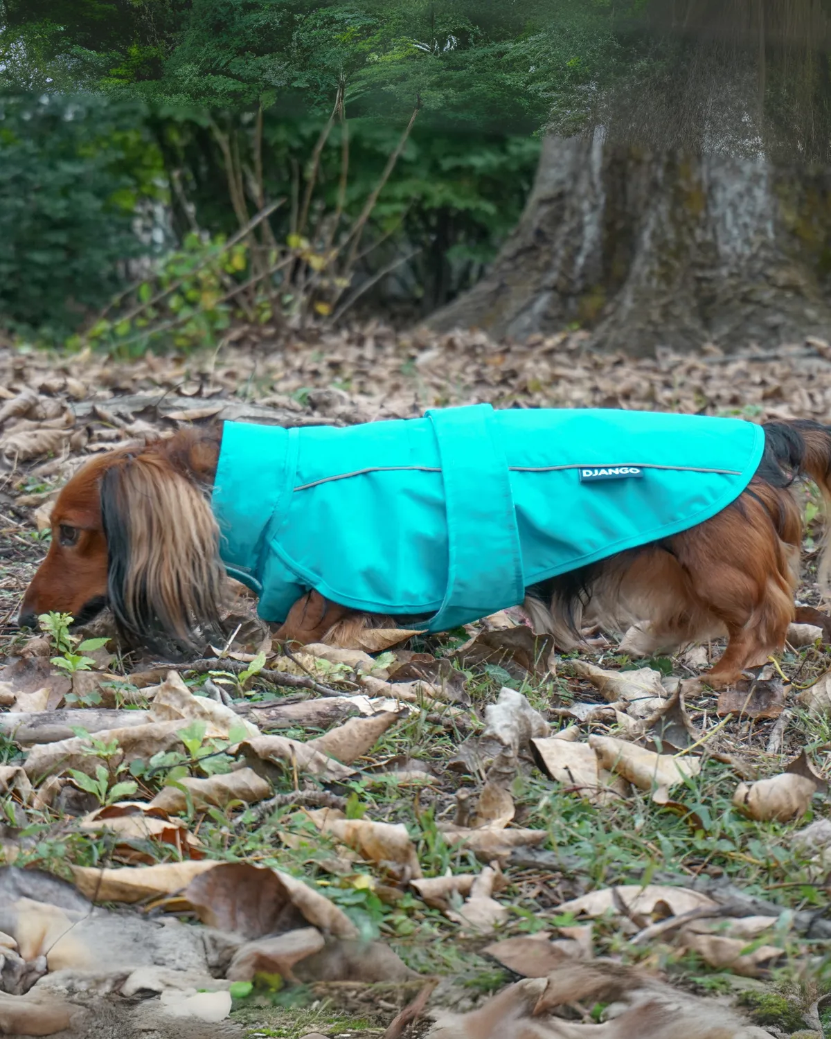 City Slicker All-Weather Dog Jacket & Raincoat - Topaz Blue