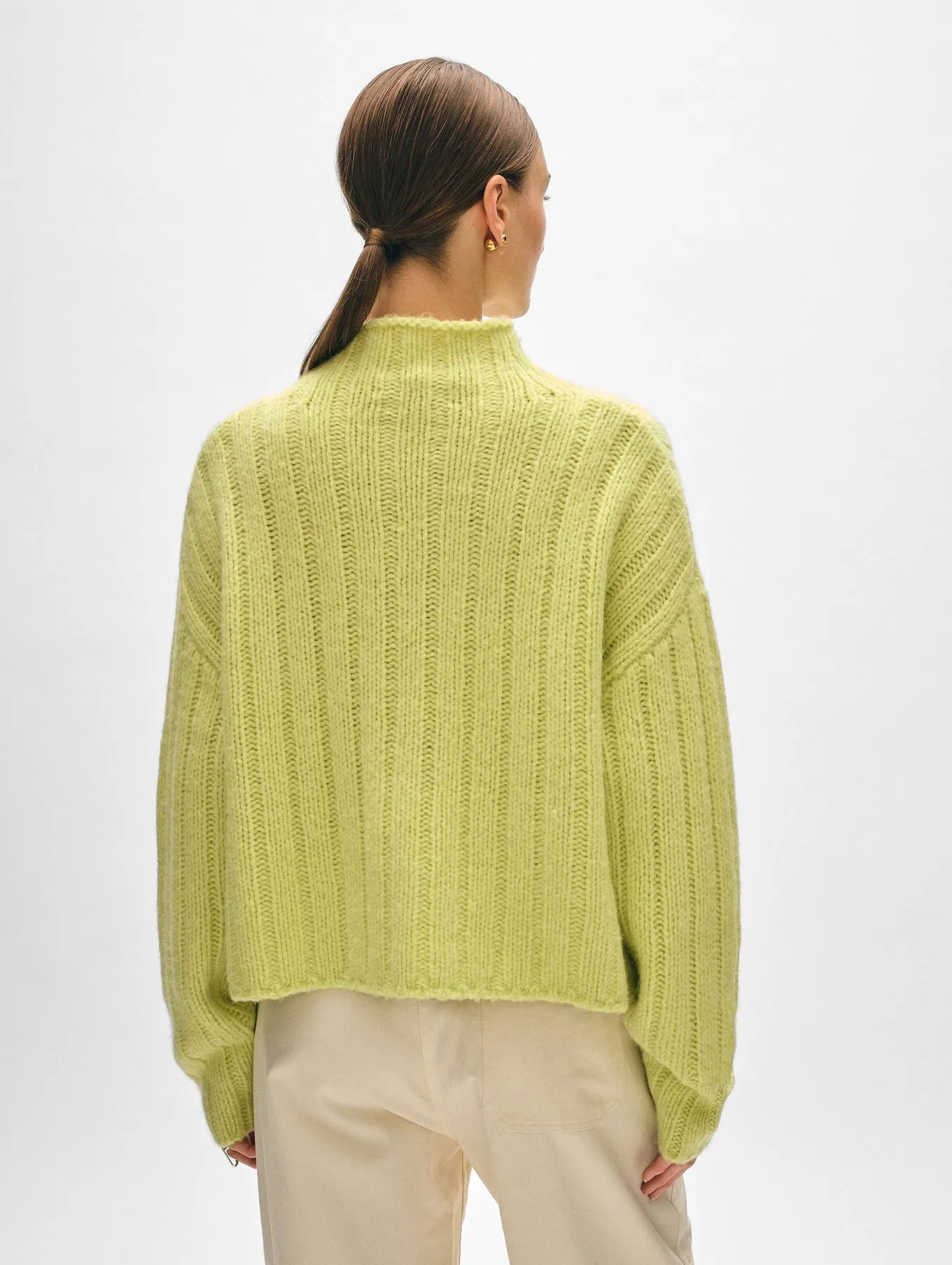 Lofty Cashmere Blend Wide Rib Standneck