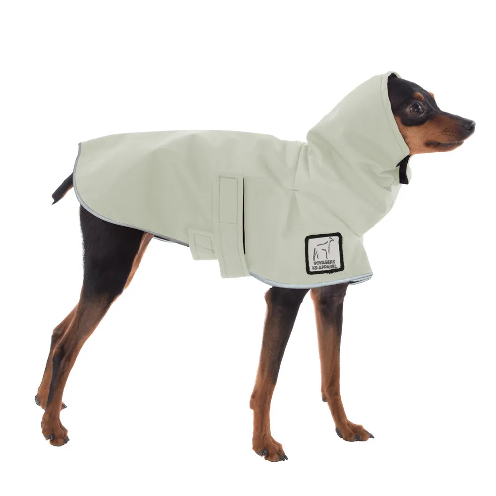 Miniature Pinscher Raincoat